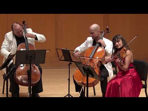 Schubert - String Quintet in C Major, D. 956, Op. 163, IV. Allegretto