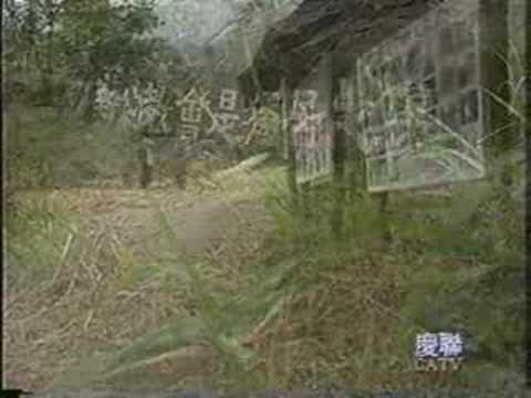 慶聯新聞報導－現代伊甸園