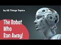 The Adventure of Promobot
