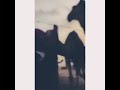 يامرحبا يادهر قلبي ورجعانه mp3