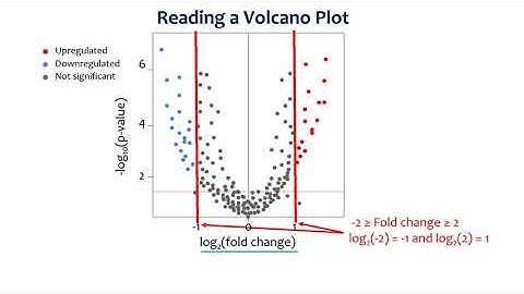 Circadian Transcriptomics Dry Lab (4 of 4) - Visualizations