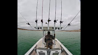 WILD White Bass / Sand Bass Fishing Trip on Lake Amistad, CATCH, CLEAN, and COOK