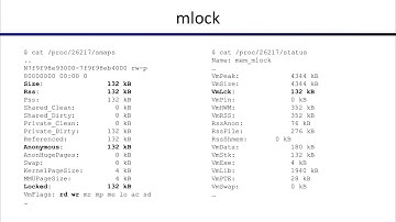 Process New Memory Allocation