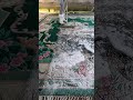 Foam scraping #75#satisfying #asmr #carpetcleaning.