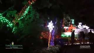 Holiday and Christmas Lights at the Florida Botanical Gardens  2015