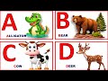 Abc alphabet live example clipsphonic a for applea for alligatoreducational for kids