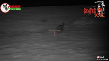Predator Tactics Coyote Reaper XXL Compilation