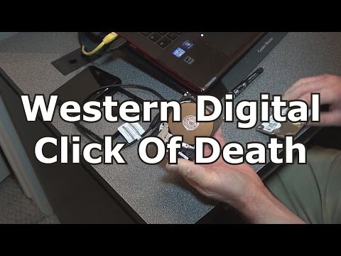Western Digital Click