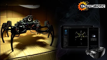TactonBiotic | Hexatron | Industrial Inspection Robot | Prototype