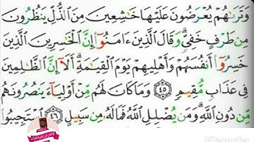 تجويد ميسر واستخراچ أحكام آيات ٤٥ ، ٤٦ من سورة الشورى صفحه٤٨٨