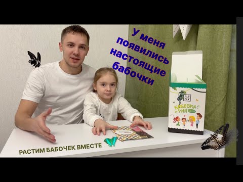 видео: ВЫРАЩИВАЕМ БАБОЧЕК ДОМА! ФЕРМА БАБОЧЕК