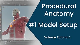 Model Setup  -  Volume Tutorial 1