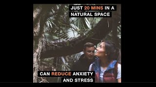 20 mins In A Natural Space Can Reduce Your Stress | #NSWParks screenshot 4