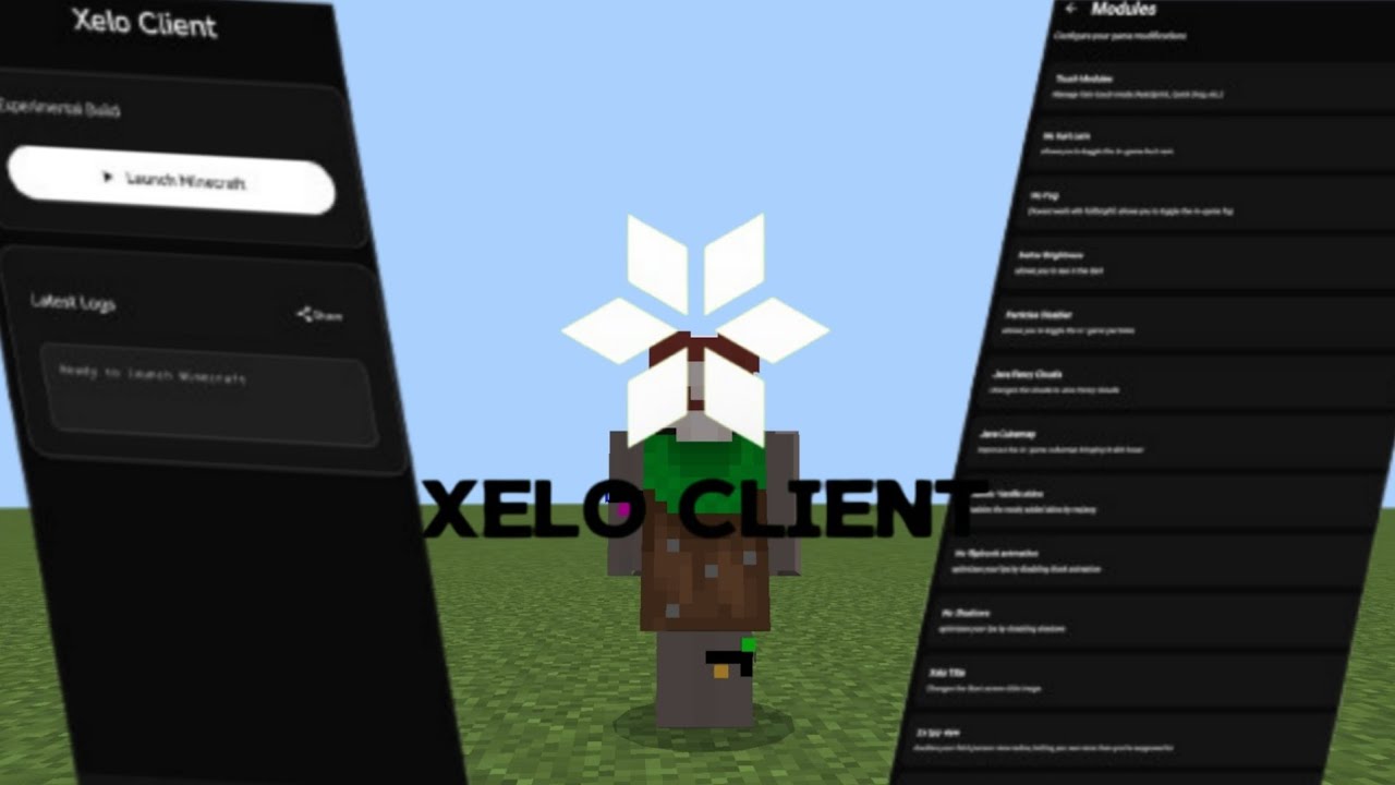 Reviewing One of The BEST clients for Mobile