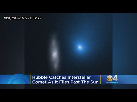 Hubble Catches Mysterious Visitor From Beyond, Interstellar Comet, As It Flies Past The Sun
