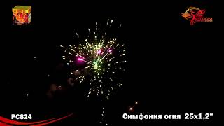 PC824 Симфония огня