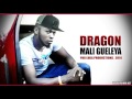 Dragon mali gueleya