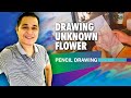 Drawing unknown flower