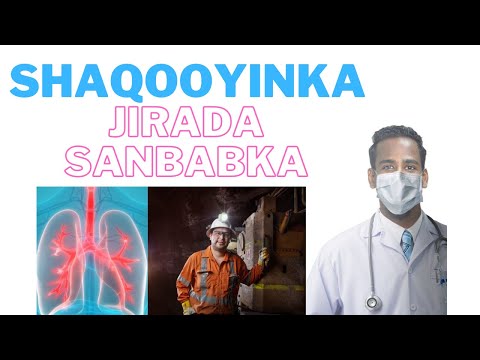 SHAQOOYINKA LAGA QAADO CUDURADA SANBABKA KU DHACO