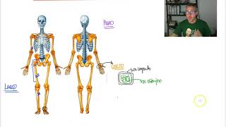 OSTEOLOGIA 2 - Clasificacion huesos