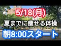 【初心者🔰大歓迎】お腹痩せ体操で気持ちよくキレイになりましょう🦥