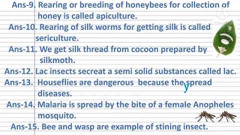 Class-4, Science,Ls-6..Insects,TopicQuestions& Answers