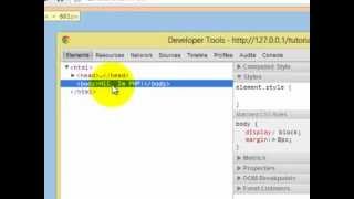 PHP - Installation of Web Server[WAMP] - Tutorial #3 [Tamil]