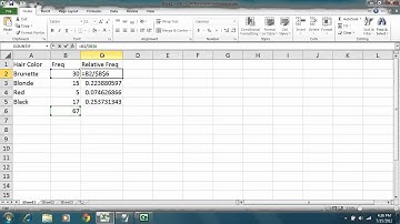 Statistics - Excel 2010 - Qualitative Data - Calculating Relative Frequency