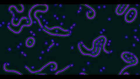 Cellular Automata - Slackermanz