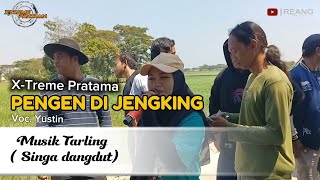 Download Lagu PENGEN DI JENGKING - VOC. YUSTIN | X-TREME PRATAMA | SINGA DEPOK | DS. SUDIMAMPIR MP3