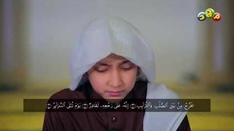 سورة الطارق اجمل صوت يريح القلب إدريس الهاشمي