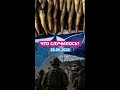 #короткооглавном 28 мая