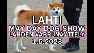 Lahti May Day Dog Show | Akita Inu junior | 2023