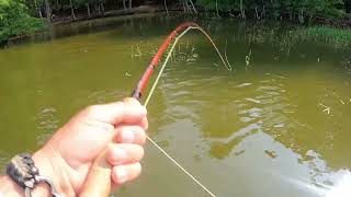 Fly Fishing Lake Tylers Langley Island