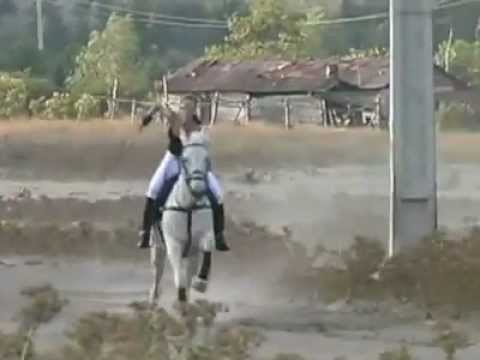 woman whip horse to gallop