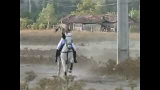 woman whip horse to gallop