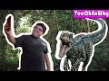 Velociraptor Behavior in the Jurassic Park Franchise