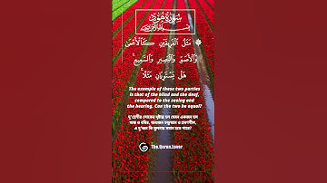 8 ) Surah Hud ‎- سورة  هود ‎-(Prophet Hud AS) 11:23-24 #কুরআন #তেলওয়াত