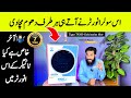 Tiger Gold Series T-9200+ Inverter | 9200W PV Input | Dual Output | 7-Year Warranty | Full Review