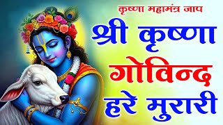 Download Lagu Shri Krishna Govind Hare Murari || श्री कृष्ण गोविंद हरे मुरारी | Krishna Bhajan | #krishna MP3 Download Lagu Shri Krishna Govind Hare Murari || श्री कृष्ण गोविंद हरे मुरारी | Krishna Bhajan | #krishna MP3