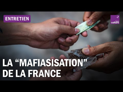 Narcotrafic et criminalité : comment la France peut-elle lutter ?