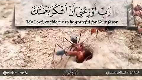 اسلام صبحي النمل حالات واتساب قران كريم