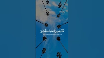 #محمد_شكري#تلاوات #آيات #القرآن_الكريم #قرآن #تلاوة #قران_كريم #قران #القرآن #قرآن_كريم #quran