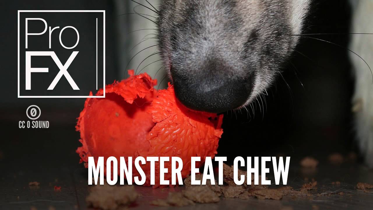 Monster Eat Chew Animal Sound Effects ProFX (Sound, Sound Effects