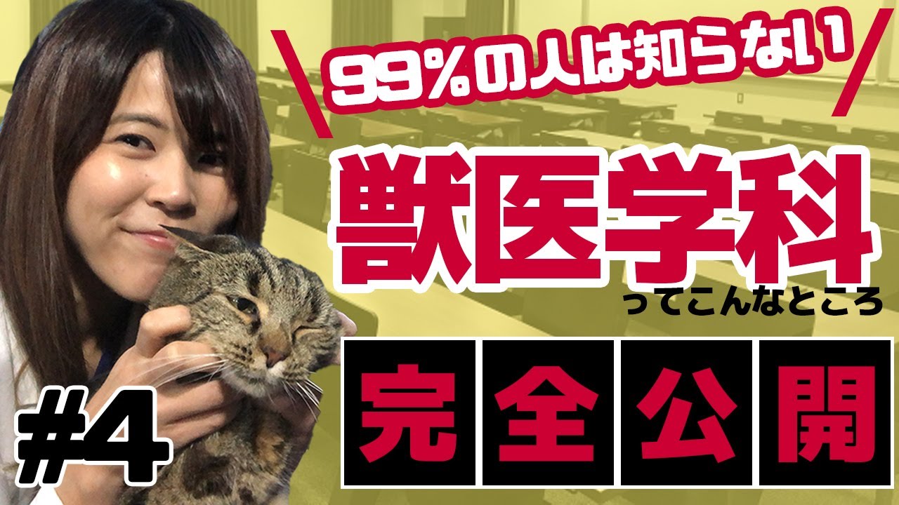 99%の人が知らない！国立獣医学科の中身を完全公開 #4