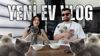 Yeni̇ Evi̇mi̇zde İlk Vi̇deo Ev Vlog