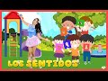 LOS SENTIDOS / CANCIÓN INFANTIL / AglaE
