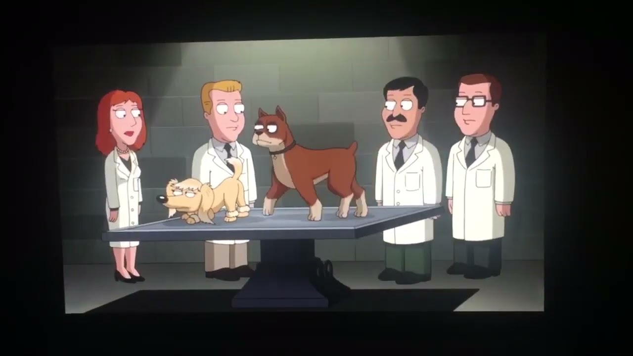 Family guy boy dog meets girl dog YouTube