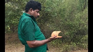 GROUNDWATER TESTING WITH COCONUT