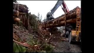 Extreme trucking on Vancouver Island